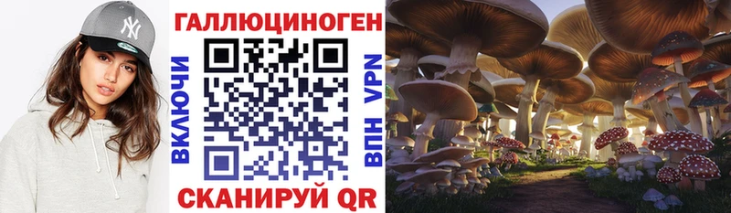 Купить  Спасск  Псилоцибиновые грибы Cubensis 